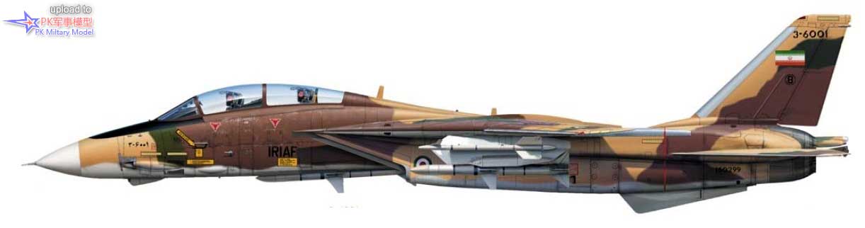 F-14A 3-6001