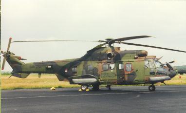 KLu荷兰空军的美洲狮实物