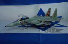 双垂尾骑士 F-15D