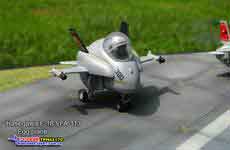 F-18蛋机 VFA-113